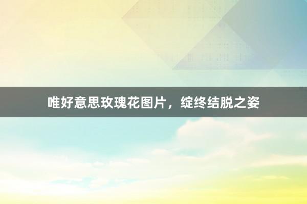 唯好意思玫瑰花图片，绽终结脱之姿