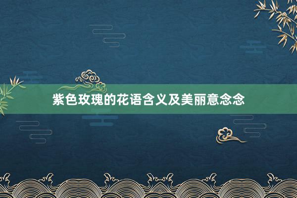 紫色玫瑰的花语含义及美丽意念念